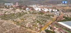 <b>第一波春花已上线 一路沉浸式感触感染这份春日</b>